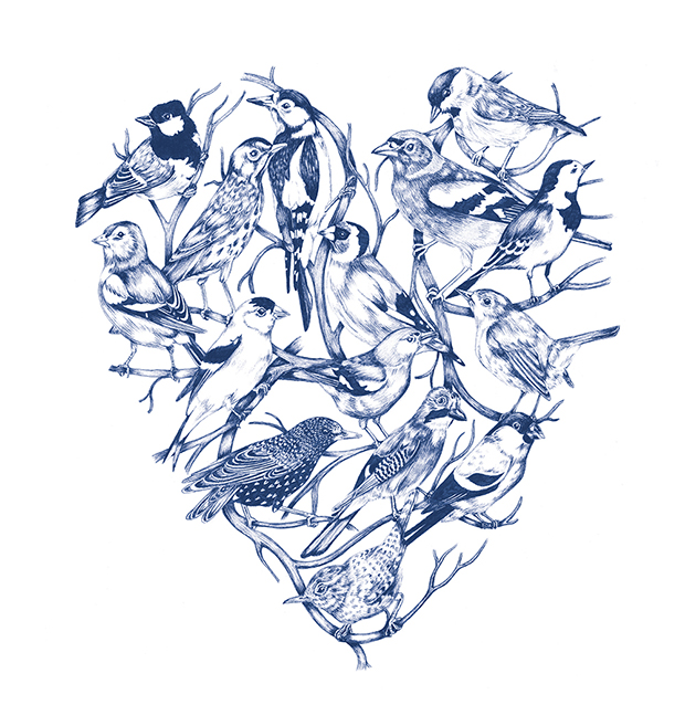 Blue Bird Heart Illustration