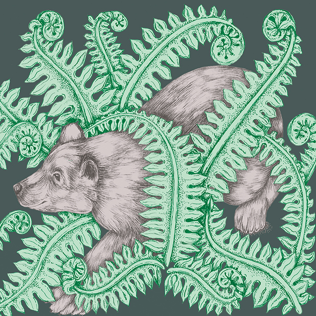Brown Bear and Ferns Illustration