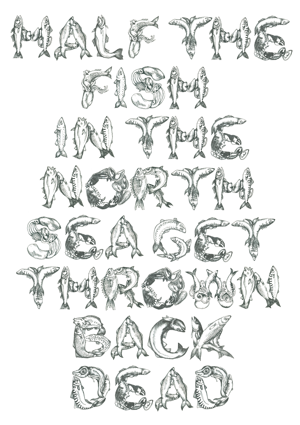 Fish Typography Lettering