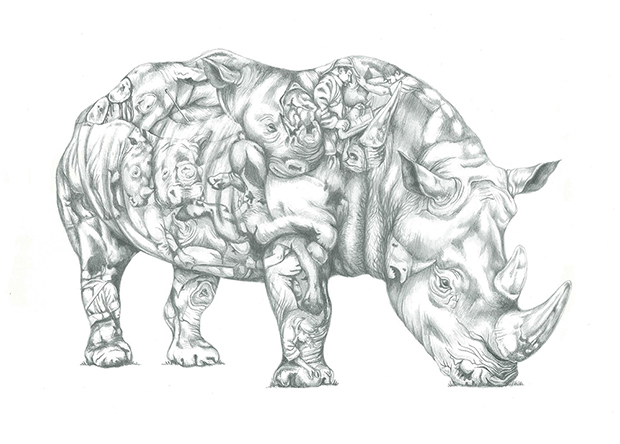 Rhino Poaching Pencil Drawing Illustration