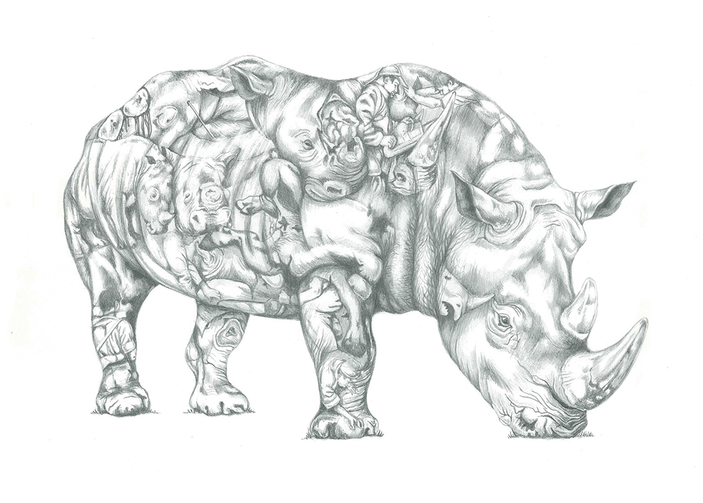 Rhino Poaching Pencil Drawing