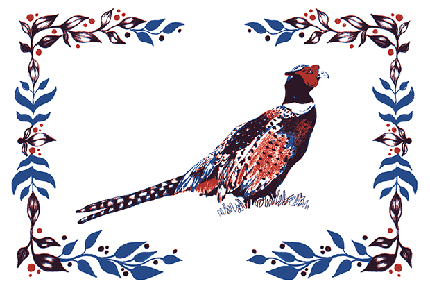Pheasant Illustration