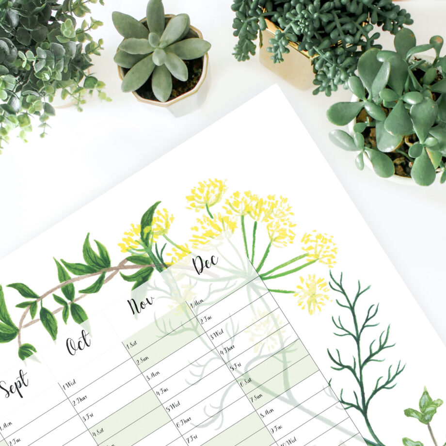 2025 illustrated herbs wall planner